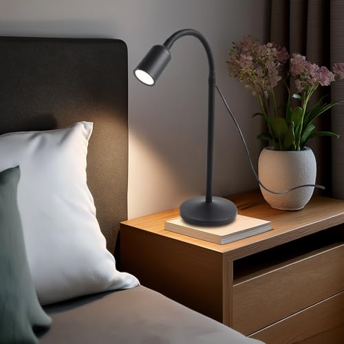 DAMI Small Desk Lamp with Flexible Gooseneck, USB Reading Light - Image 8