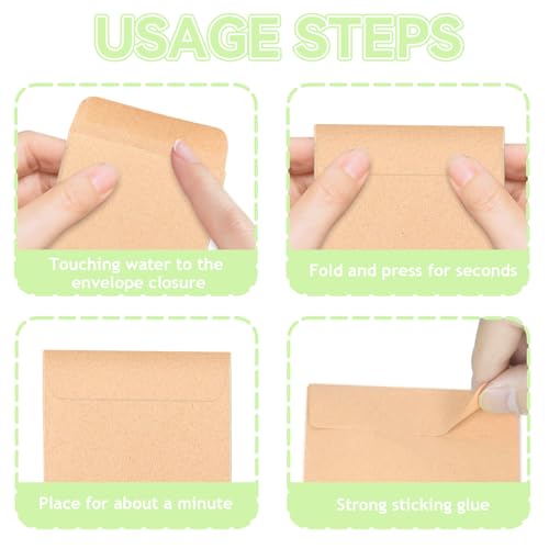 Seed Storage Organizer Box, 4 Compartments, Lockable,Light Green - Image 8