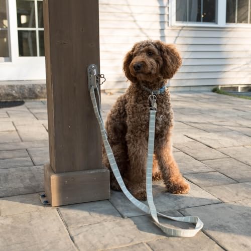 Dog Leash Hitch Parking Hook Heavy Duty Wall-Mount - Image 6