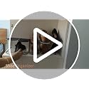CiBiZi Shoe Slots Organizer 10Pack Metal Shoe Stackers for a Pair - Image 8