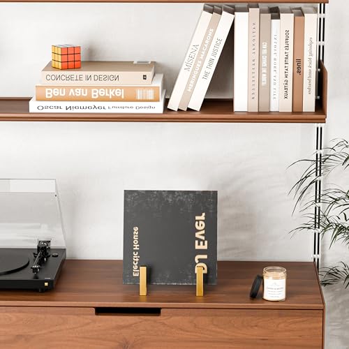 Records Storage Holder, Vinyl LP Gold Stand CD Display Frame - Image 6
