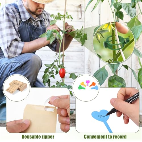 Seed box, Seed storage box, Garden seed organizer - Image 7