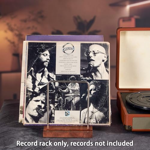LiTY Solid Wood Vinyl Record Stand, Multi-Purpose Vinyl - Image 7