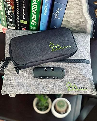 CANNY Mid-Zip Smell Proof Bag – Large Odor Eliminating Travel Pouch. Smell Proof Container with Lock – Medicine Stash Case with Bamboo Charcoal and Activated Carbon (Grey)