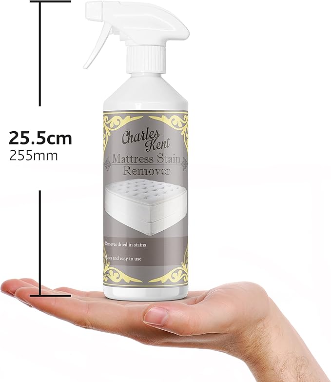 Charles Kent Mattress Stain Remover, 500 ml
