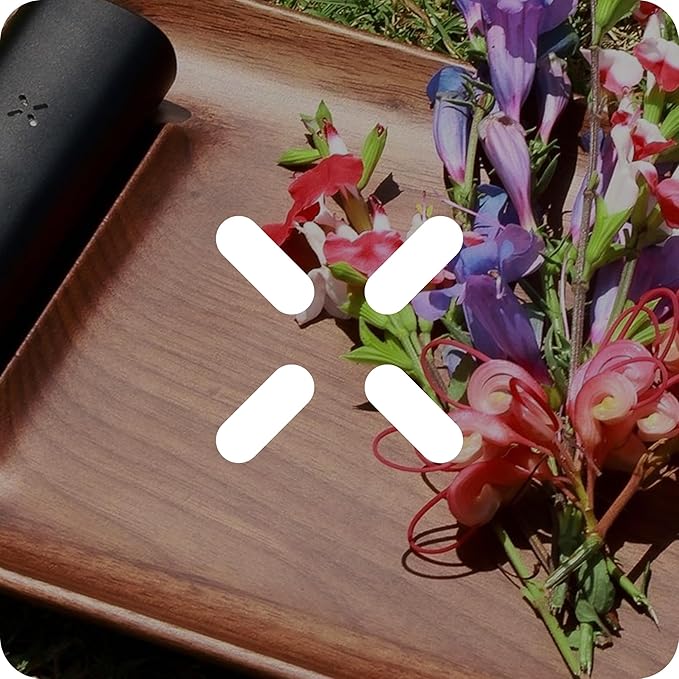 PAX Storage Box – Durable, Smell Proof & Airtight Storage Box with Dual Internal Compartments & Pedestal Tray – Aluminum Lid Doubles as Prep Tray