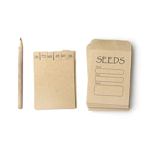 Katai Steel Seed Storage Box Organiser in Green. Compact - Image 6