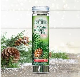 Scentsicles White Winter Fir and Snowberry Pine Scented Christmas Ornaments with Hooks - 2 Pack (2 Bottles, 12 Sticks Total)