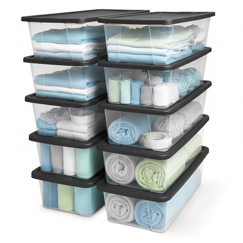 HOMZ Snaplock, Small Clear Plastic Storage Organizer | All Products - Image 2