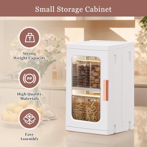 CXCJAI Mini Storage Cabinet with Doors and Shelves Countertop - Image 6