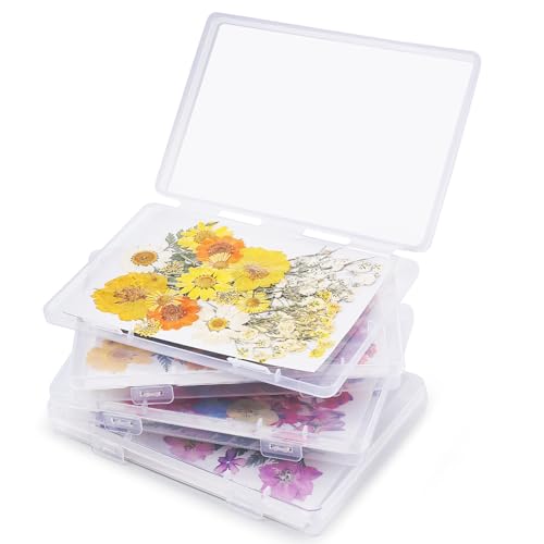 Aboofx 4PCS Dried Flower Storage Set with Blotting Paper - Image 2