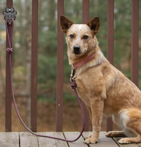 Dog Leash Hitch Parking Hook Medium Duty Wall-Mount - Image 7