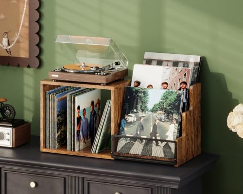 Vinyl Record Storage with Record Player Stand, Holds 120+ Albums - Image 3