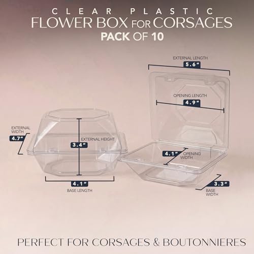 Royal Imports Clear Plastic Corsage Box Flower Boutonniere 5x4x3 - Image 3