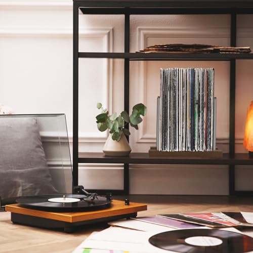 Vinyl Record Storage Holder, Vinyl Album Display Stand - Image 8