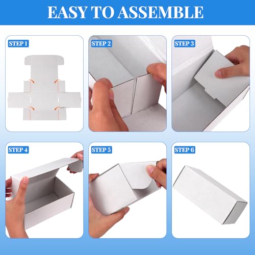 Trading Card Storage Box with Dividers, 12 Pack • 400 - Image 6