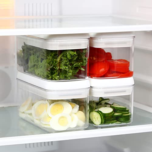 Felli Flip Tite Food Storage Container with Lid 4” RECTANGLE - Image 3