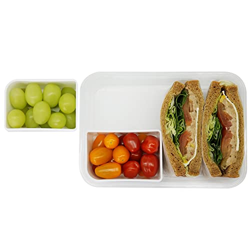 carrotez 4 Compartment Food Container - 6.3 Cup (1500ml) - Image 7
