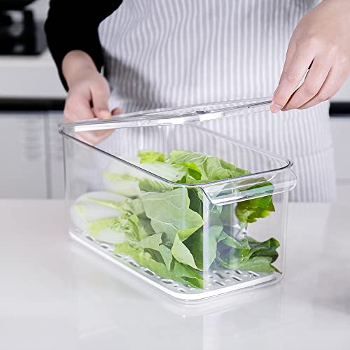 SANNO Produce Saver Containers for Refrigerator - Stackable - Image 6