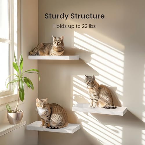 Amada 15.7" Floating Shelves for Wall Decor & Storage, Set of 3 - Image 5