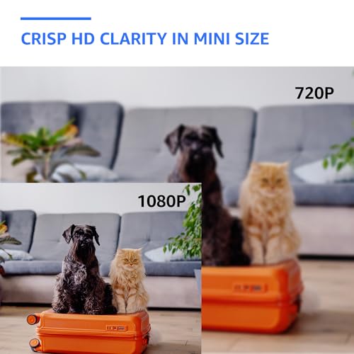 ALPHA TECH Indoor Camera with 160° Wide Angle, Plug | All Products - Image 6