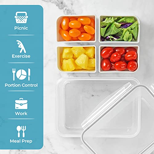 carrotez 4 Compartment Food Container - 6.3 Cup (1500ml) - Image 5