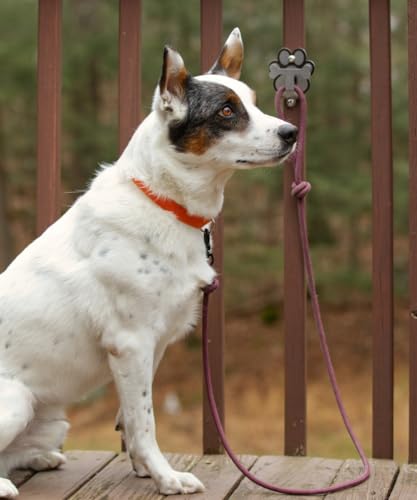 Dog Leash Hitch Parking Hook Medium Duty Wall-Mount - Image 3