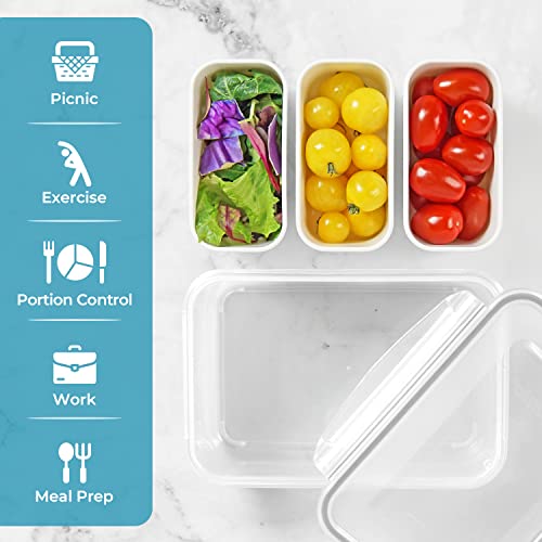 carrotez 3 Compartment Food Container - 4.64 Cup (1100ml) - Image 6