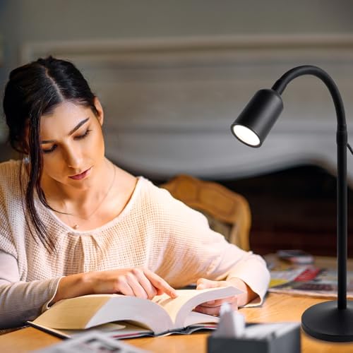 DAMI Small Desk Lamp with Flexible Gooseneck, USB Reading Light - Image 6