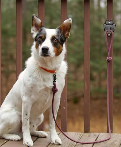 Dog Leash Hitch Parking Hook Medium Duty Wall-Mount - Image 6