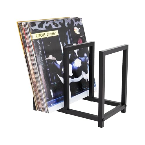 Vinyl Record Storage Holder, All Metal Tabletop Record - Image 2