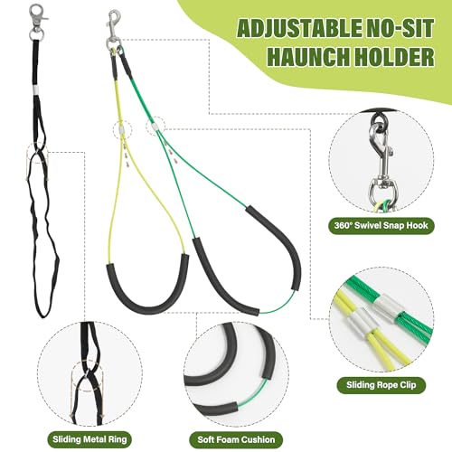 Dog Grooming Arm 35" with Hammock, Haunch Holder | Pet Essentials - Image 3