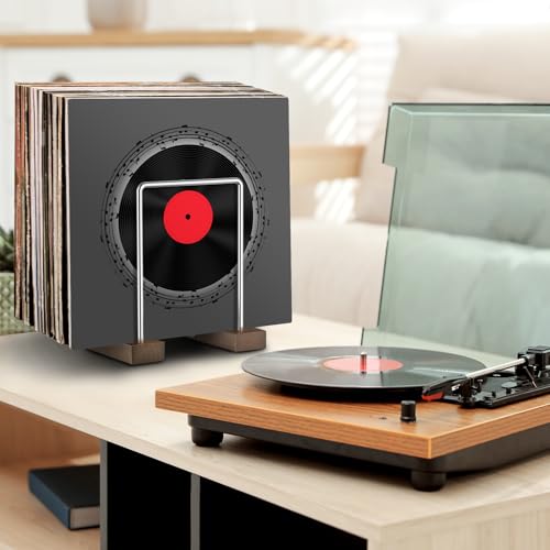 Vinyl Record Storage Holder, Vinyl Album Display Stand - Image 3