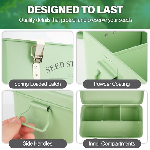 Seed Storage Box Organiser - Seed Tin with 4 Handy Compartments - Image 4