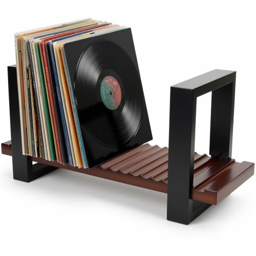 ARCWEISSO Vinyl Record Storage, Adjustable Vinyl Record Holder - Image 2