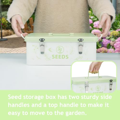 Seed Storage Organizer Box, 4 Compartments, Lockable,Light Green - Image 6
