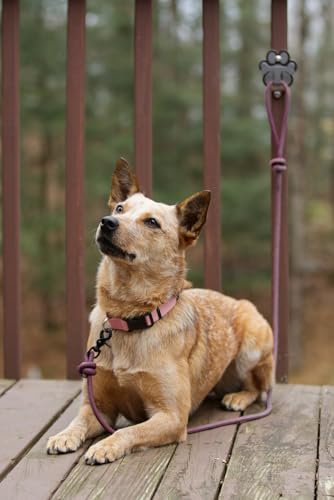 Dog Leash Hitch Parking Hook Medium Duty Wall-Mount - Image 5