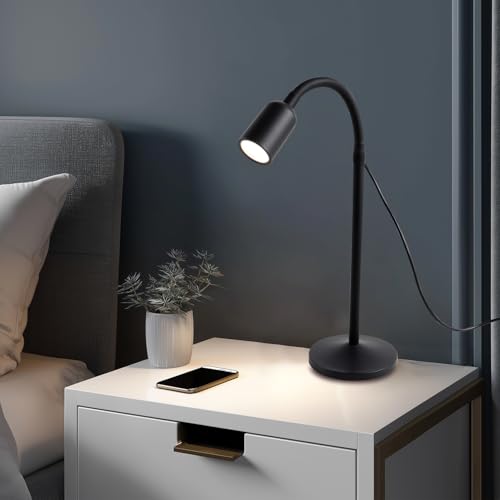 DAMI Small Desk Lamp with Flexible Gooseneck, USB Reading Light - Image 3