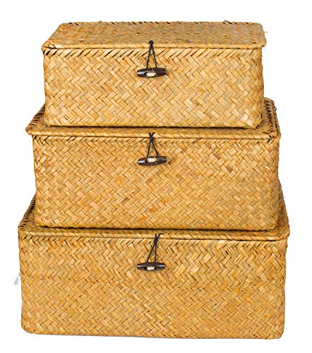 Yesland Small Shelf Baskets with Lid Set of 3, Compa | All Products - Image 5