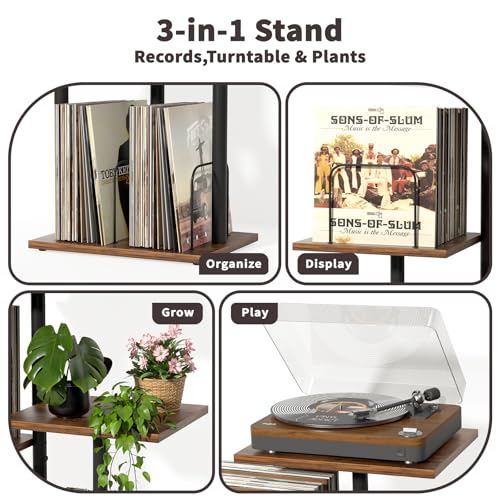 Bikoney Botanical Record Player Stand,Vinyl Record Storage - Image 3