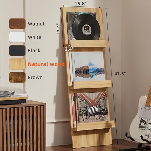 LELELINKY Wall-Leaning Vinyl Record Holder with 3 Tier - Image 3