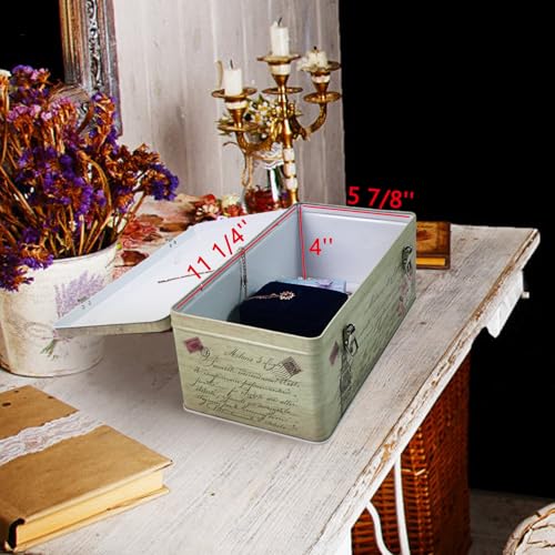 DreamsEden Metal Seed Organizer Storage Box - Rustic - Image 4