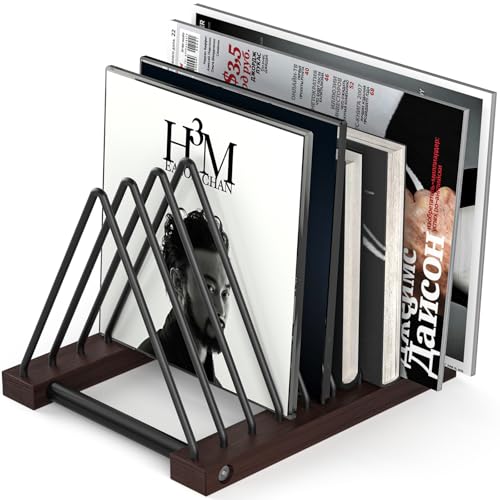 Pashion Vinyl Record Storage Rack,Detachable Desktop Stand - Image 2