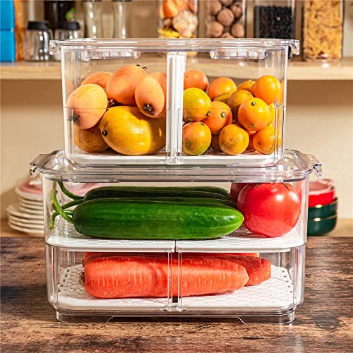 SANNO Fridge Produce Saver Storage Vegetable Fruit C | All Products - Image 6