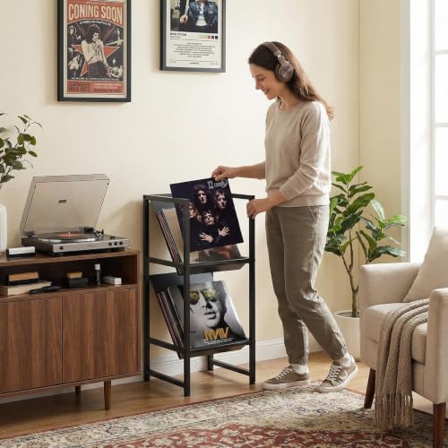 2-Tier Black Metal Vinyl Record Storage Holder for Collection - Image 7
