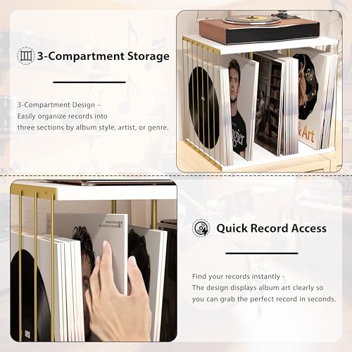 Emfogo Vinyl Record Storage, Metal & Wooden Vinyl Record - Image 4