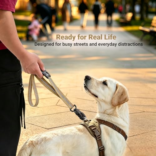 Tactical Bungee Dog Leash with 2 Padded Handles,Shock | Pet Essentials - Image 5