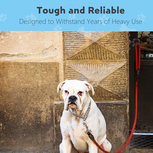 TOMBABY Pet Leash Wall Hook - Durable Rust-Proof Stainless - Image 6