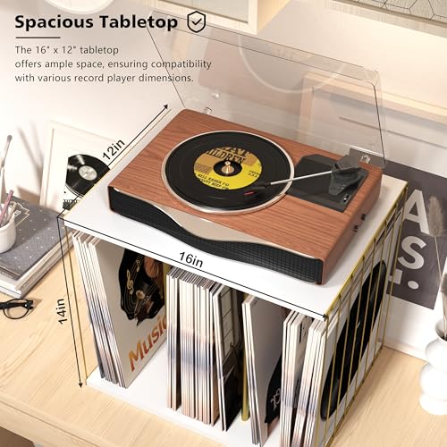 Emfogo Vinyl Record Storage, Metal & Wooden Vinyl Record - Image 5