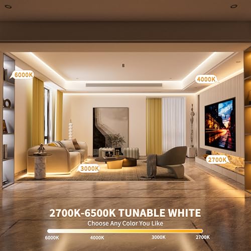 PAUTIX COB LED Strip Lights Addressable 2700K-6500K Chasing White - Image 3